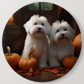 Badge Rond 15,2 Cm Coton De Tulear Chiot Automne Citrouille délice (Devant)