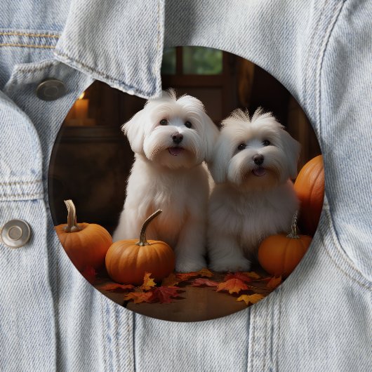 Badge Rond 15,2 Cm Coton De Tulear Chiot Automne Citrouille délice (En situation)