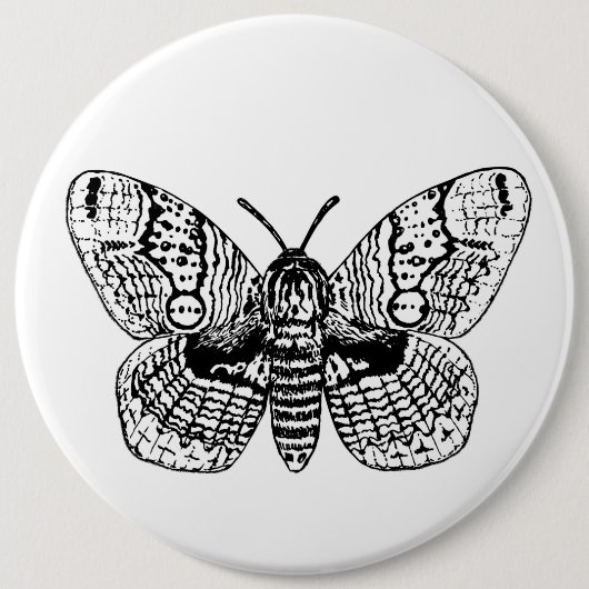 Badge Rond 15,2 Cm Dessin Brahmin moth (Devant)