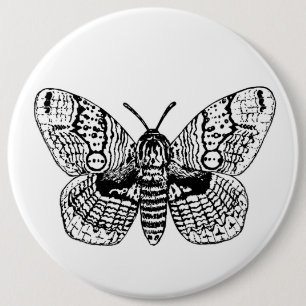 Badge Rond 15,2 Cm Dessin Brahmin moth