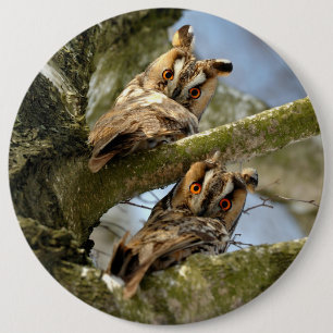 Badge Rond 15,2 Cm Deux hiboux dans les bois, oiseaux, bouton faune
