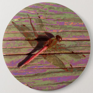 Badge Rond 15,2 Cm Dragonfly
