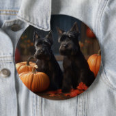 Badge Rond 15,2 Cm Écossais Terrier Chiot Automne Citrouille délice (En situation)