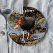 Badge Rond 15,2 Cm Etonnant Oystercatcher noir avec Clam (En situation)