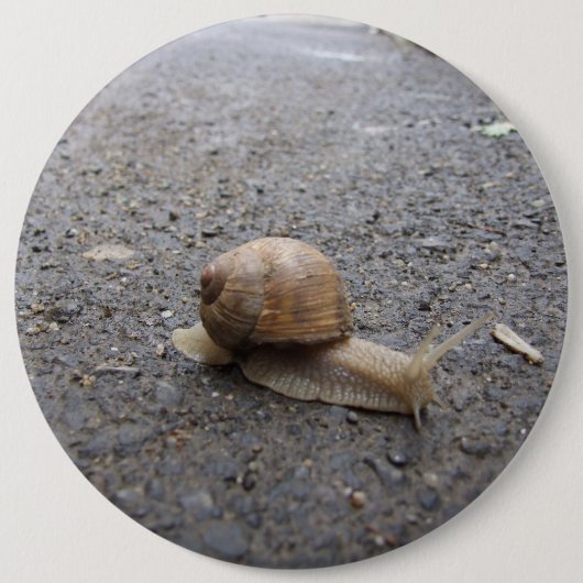 Badge Rond 15,2 Cm Exécution de l'escargot (Devant)