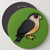 Badge Rond 15,2 Cm faucon Pointu-shinned (Devant & derrière)