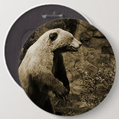 Badge Rond 15,2 Cm Fière Ours (Devant & derrière)