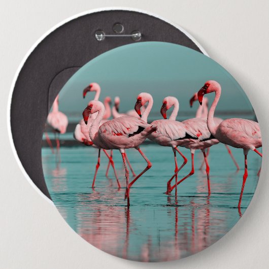 Badge Rond 15,2 Cm Flamants africains sauvages (Devant & derrière)