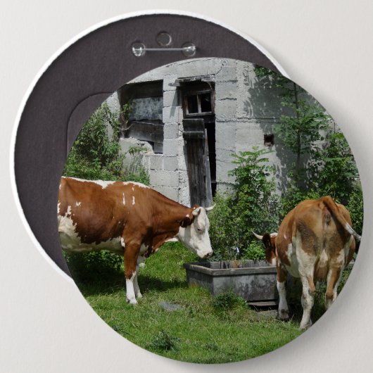 Badge Rond 15,2 Cm Fleckvieh soif (Devant & derrière)