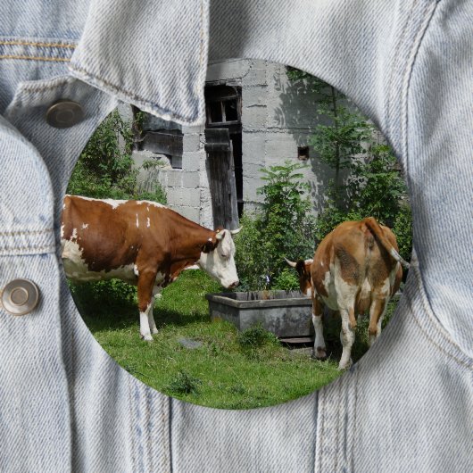 Badge Rond 15,2 Cm Fleckvieh soif (En situation)