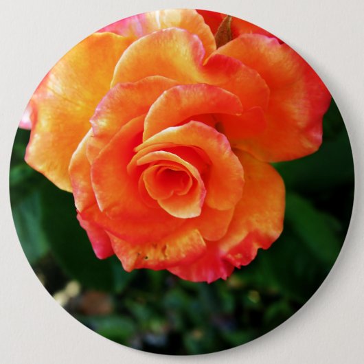 Badge Rond 15,2 Cm Fleur de rose orange (Devant)