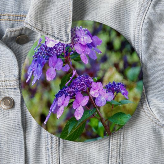 Badge Rond 15,2 Cm Fleur pourpre Twist et Shout Hydrangea (En situation)