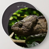 Badge Rond 15,2 Cm Furcifer oustaleti (Devant & derrière)
