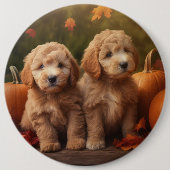 Badge Rond 15,2 Cm Goldendoodle Chiot Automne Citrouille délice (Devant)