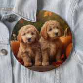 Badge Rond 15,2 Cm Goldendoodle Chiot Automne Citrouille délice (En situation)