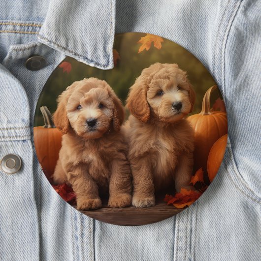 Badge Rond 15,2 Cm Goldendoodle Chiot Automne Citrouille délice (En situation)