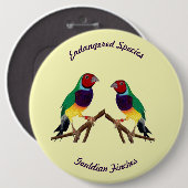 Badge Rond 15,2 Cm ~ Gouldian Finch ~ Art original ~ Bouton (Devant & derrière)