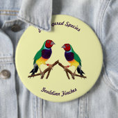 Badge Rond 15,2 Cm ~ Gouldian Finch ~ Art original ~ Bouton (En situation)
