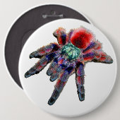 Badge Rond 15,2 Cm Grande araignée turquoise violette rouge et bleue (Devant & derrière)