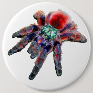 Badge Rond 15,2 Cm Grande araignée violette turquoise rouge et bleue