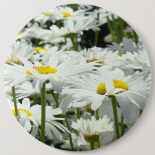 Badge Rond 15,2 Cm Grandes boutons fleurs de marguerite blanche heure