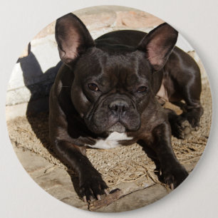 Badge Rond 15,2 Cm Grouchy French Bulldog