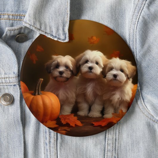 Badge Rond 15,2 Cm Havanais chiot automne ravi Citrouille (En situation)