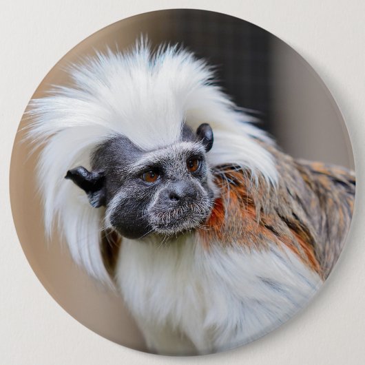 Badge Rond 15,2 Cm Insigne avec le singe de Tamarin de Coton-dessus (Devant)