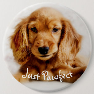 Badge Rond 15,2 Cm Insigne mignon de chien de cocker/Pin