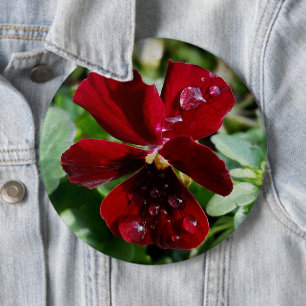 Badge Rond 15,2 Cm Les gouttes de pluie sur le sansy