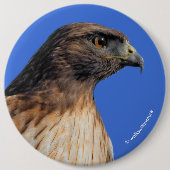 Badge Rond 15,2 Cm Magnifique Buse à queue rouge au soleil (Devant)