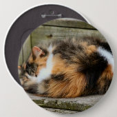 Badge Rond 15,2 Cm Naptime (Devant & derrière)