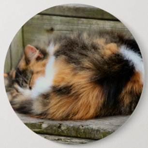 Badge Rond 15,2 Cm Naptime