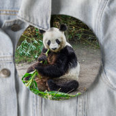 Badge Rond 15,2 Cm Ours de panda 1 (En situation)