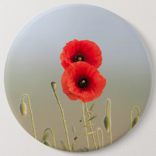 Badge Rond 15,2 Cm Papes rouges dans la lumière du matin