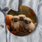 Badge Rond 15,2 Cm Pekingese Chiot Automne Citrouille délice (En situation)