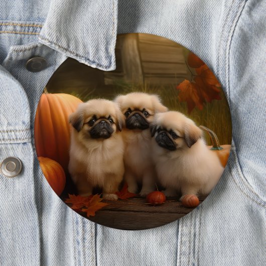 Badge Rond 15,2 Cm Pekingese Chiot Automne Citrouille délice (En situation)