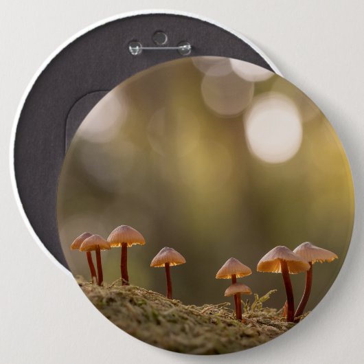 Badge Rond 15,2 Cm Petits champignons Photo nature (Devant & derrière)