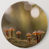 Badge Rond 15,2 Cm Petits champignons Photo nature (Devant)