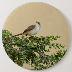 Badge Rond 15,2 Cm Photographie charmante d'un oiseau moineau