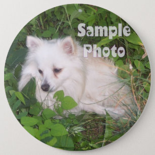 Badge Rond 15,2 Cm Pin COLOSSAL de bouton de photo d'animal familier