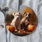 Badge Rond 15,2 Cm Pitbull Chiot Automne Citrouille de plaisir (En situation)