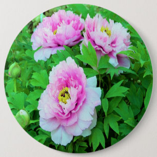 Badge Rond 15,2 Cm Pivoines arbustives roses élégantes avec centre ja