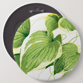 Badge Rond 15,2 Cm Plante de ficus 2 (Devant & derrière)