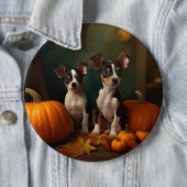 Badge Rond 15,2 Cm Rat Terrier Chiot Automne Citrouille délice (En situation)