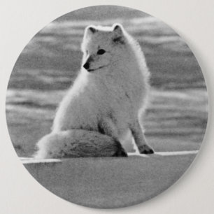 Badge Rond 15,2 Cm Renard arctique vintage USA Alaska