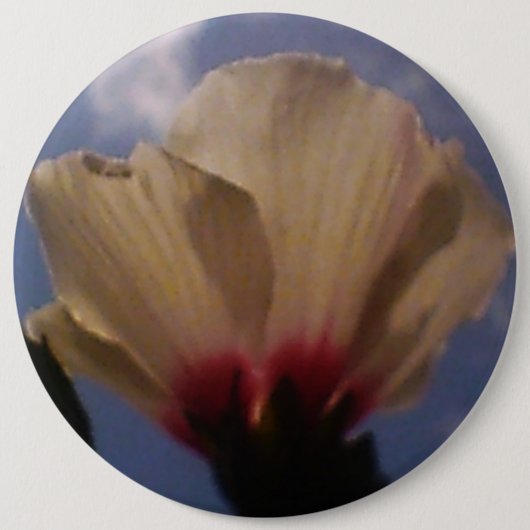 Badge Rond 15,2 Cm Rose blanche (Devant)