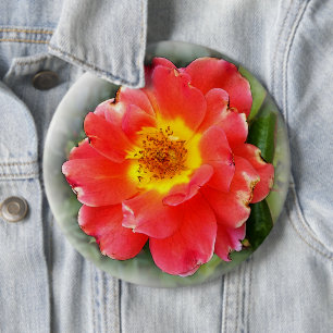 Badge Rond 15,2 Cm Rose en automne
