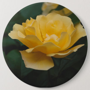 Badge Rond 15,2 Cm Roses jaunes