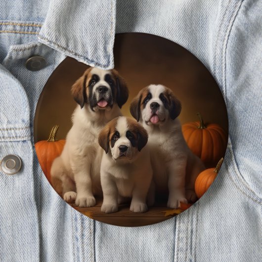 Badge Rond 15,2 Cm Saint Bernard Puppy Automne Citrouille (En situation)